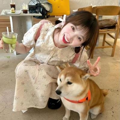 乱马1/2第二季